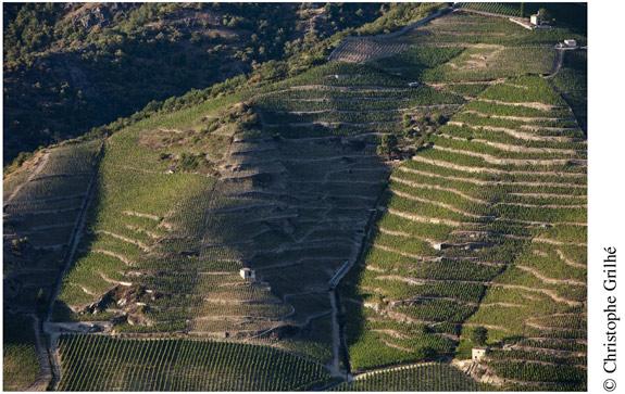 Les coteaux de lHermitage<br><b>Un patrimoine viticole national</b>