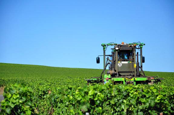 Revenu viticole 2012<br><b>La viticulture fait les frais d’une petite récolte…</b>