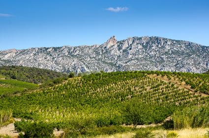 Exportations<br><b>Les vins du Languedoc-Roussillon sduisent de plus en plus  ltranger</b>