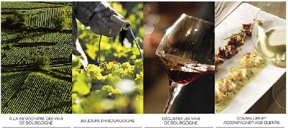 Internet<br><b>Le bureau interprofessionnel des vins de Bourgogne mise sur le e-learning</b>