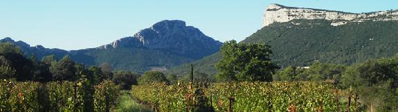 Languedoc Roussillon<br><b>Bientt une route des vins AOC Languedoc</b>