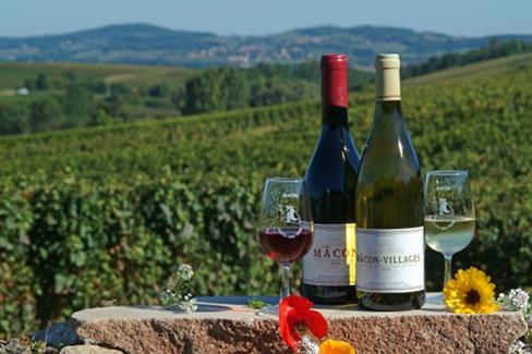 Analyse économique<br><b>L’avenir de la filière viticole du Mâconnais</b>