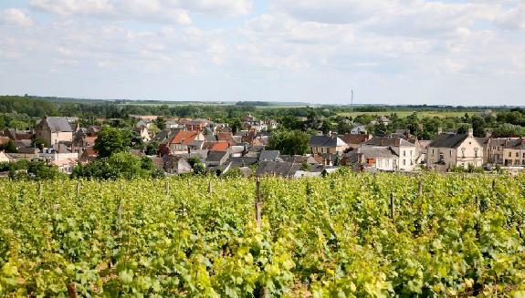 Val de Loire<br><b>Salon Professionnel des Vins de Reuilly</b>