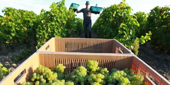 Vin<br><b>La Chine reconnat l'appellation Bordeaux</b>