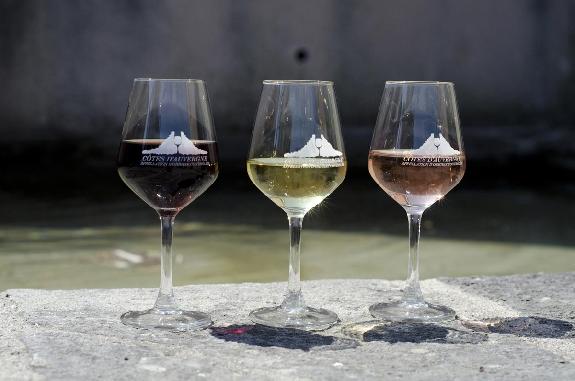 Fdration viticole<br><b>La Fdration viticole continue daffirmer son dynamisme auprs des professionnels</b>