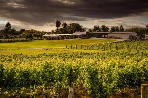 New Zeland<br><b>Historic New Zealand winery destroyed by fire</b>