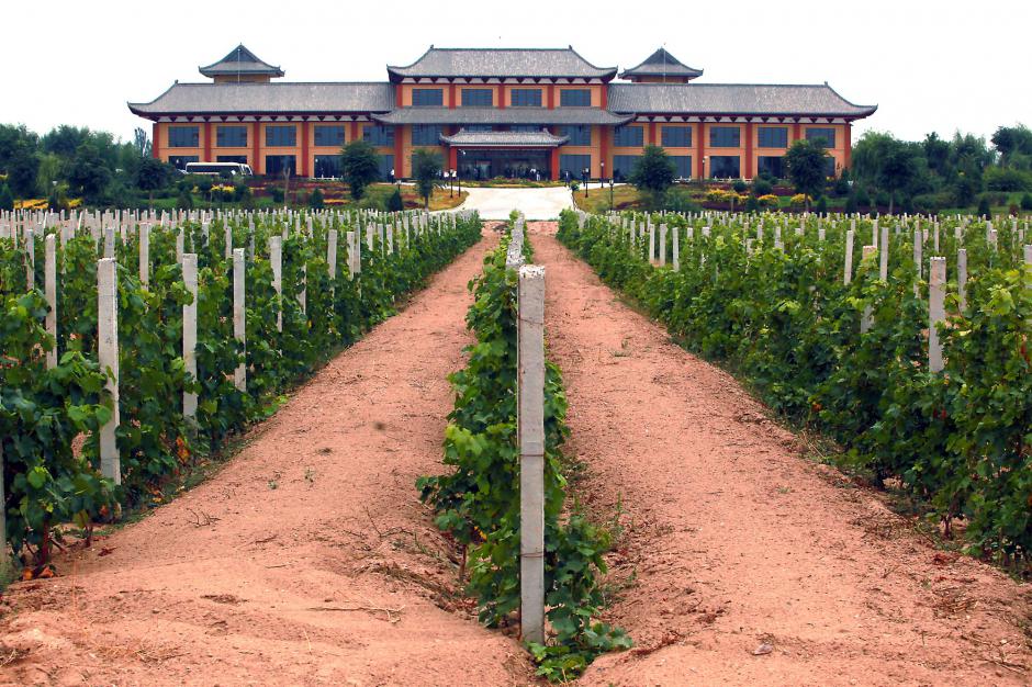Chine<br><b>La Chine est le deuxime plus grand vignoble mondial en 2015 aprs l'Espagne</b>