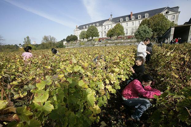 En 2017<br><b>Le Salon des Vins de Loire se tiendra  ANGERS les 5, 6 et 7 fvrier</b>