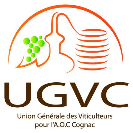 UGVC<br><b>Autorisations de plantation nouvelle : Premiers chiffres</b>