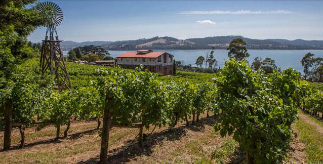 Vignoble<br><b>La Tasmanie, nouvel Eldorado des viticulteurs</b>