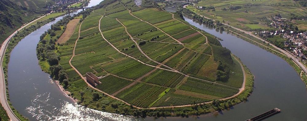Fdration des Associations viticoles dAllemagne<br><b>L'origine a de l'avenir - la gestion des appellations d'origine contrle en Italie et en Allemagne</b>