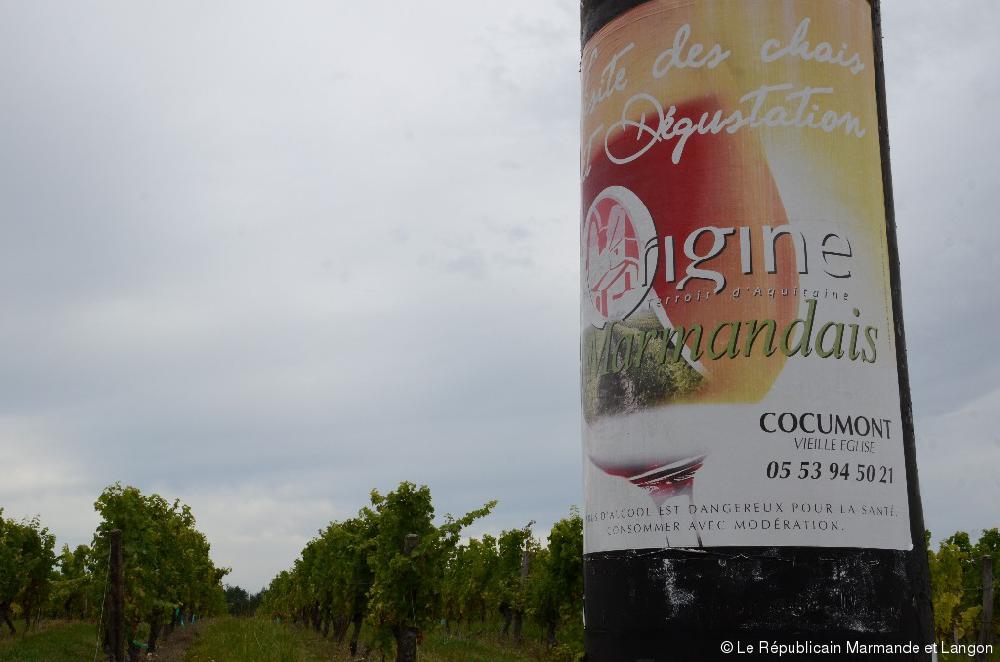 Concours gnral viticole de Paris<br><b>138 vins prslectionns dans le Lot-et-Garonne</b>