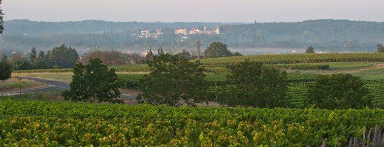 Loir-et-Cher<br><b>Concours dpartemental des vins : palmars</b>