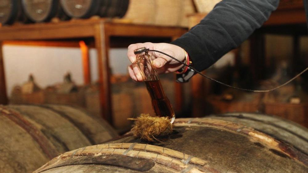 Cognac<br><b>Trs bons rsultats pour la campagne viticole 2015-2016</b>