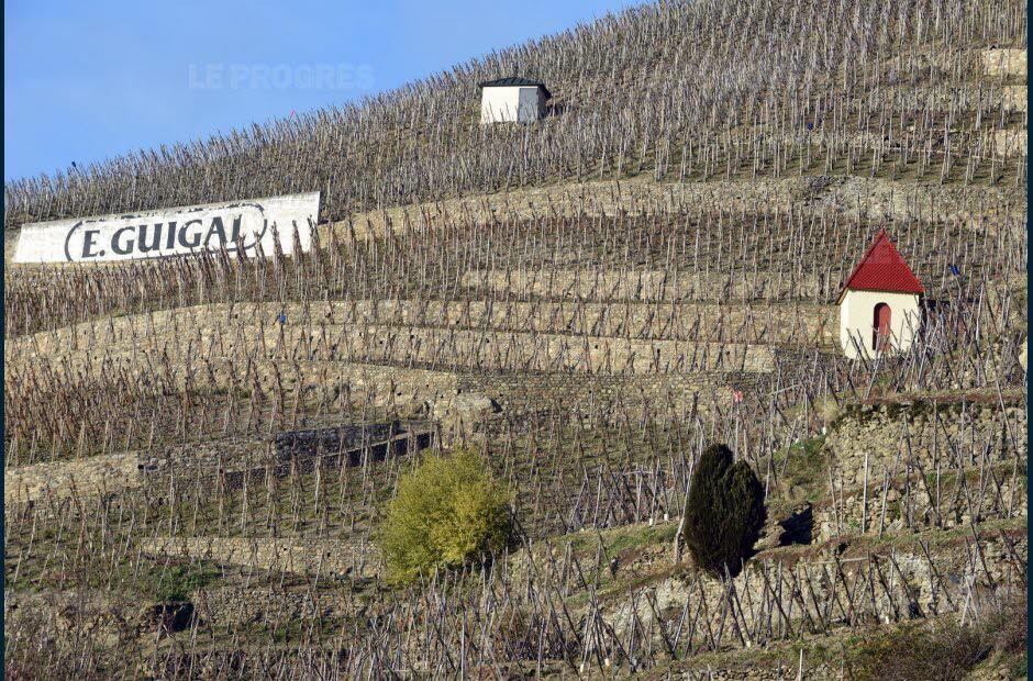 Guigal<br><b>La marque de vin franaise la plus admire au monde</b>