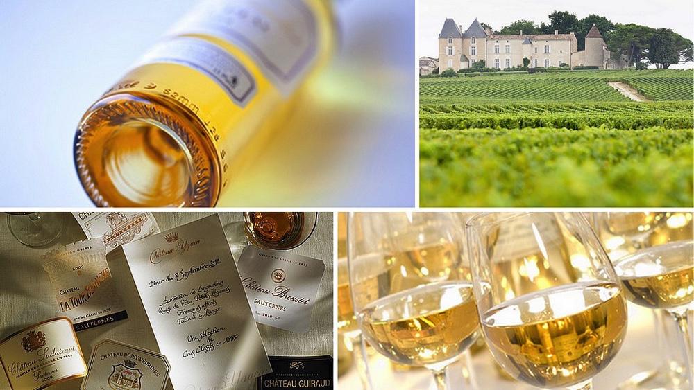 Millsime 2016  Sauternes et Barsac<br><b>Des vins trs purs et trs fins</b>