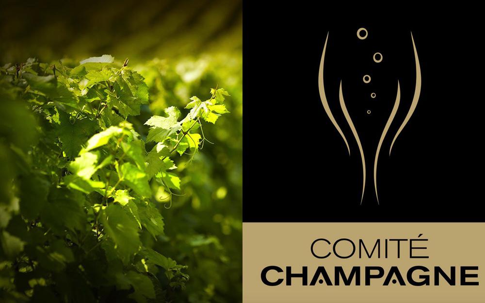 Champagne<br><b>Premires dcisions pour la vendange 2017</b>