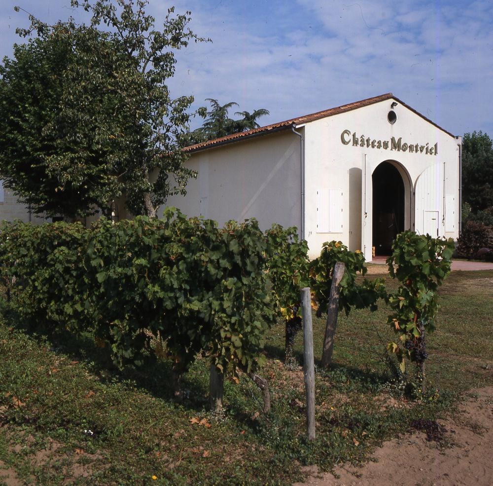 Bordeaux<br><b>Un viticulteur victime de la grle a-t-il vol 7 tonnes de raisins  ses voisins ?</b>