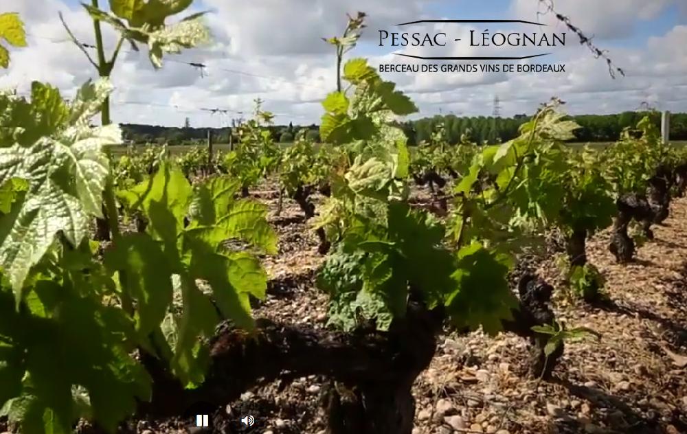 Bordeaux Fte le Vin<br><b>Accueille pour la premire fois un Pavillon Pessac-Lognan, Graves, Sauternes, Barsac !</b>