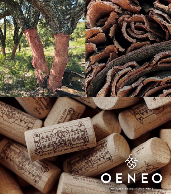 OENEO<br><b>Rsiste  la baisse de la production viticole mondiale</b>