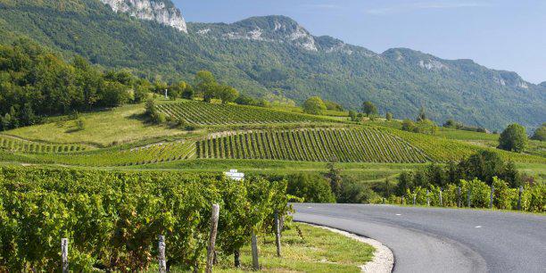 1 million d'euros<br><b>Pour les vins de Bugey</b>