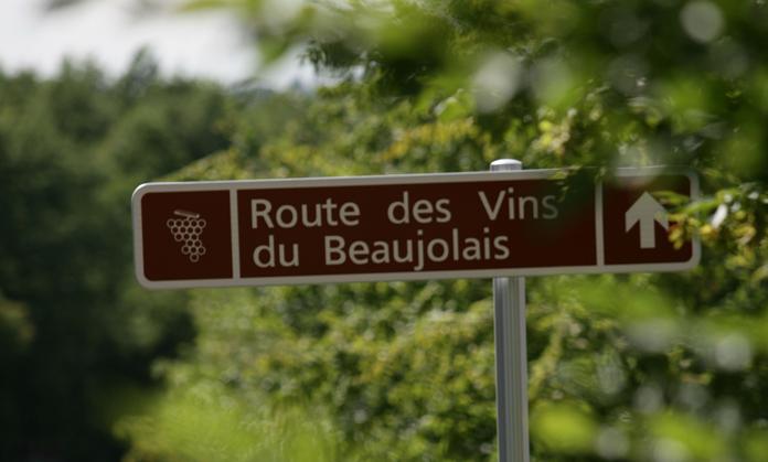 Beaujolais <br><b>Point maturation n1</b>
