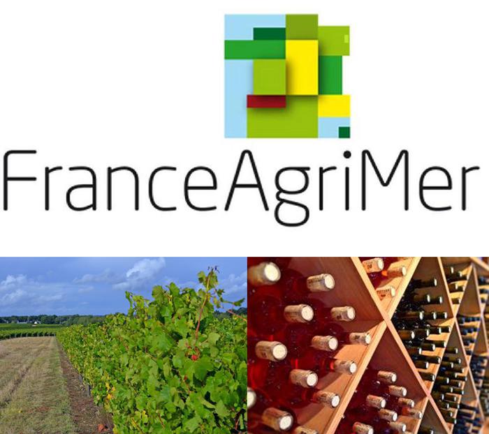 FranceAgriMer<br><b>Conseil spcialis viticole du 18 juillet 2018</b>