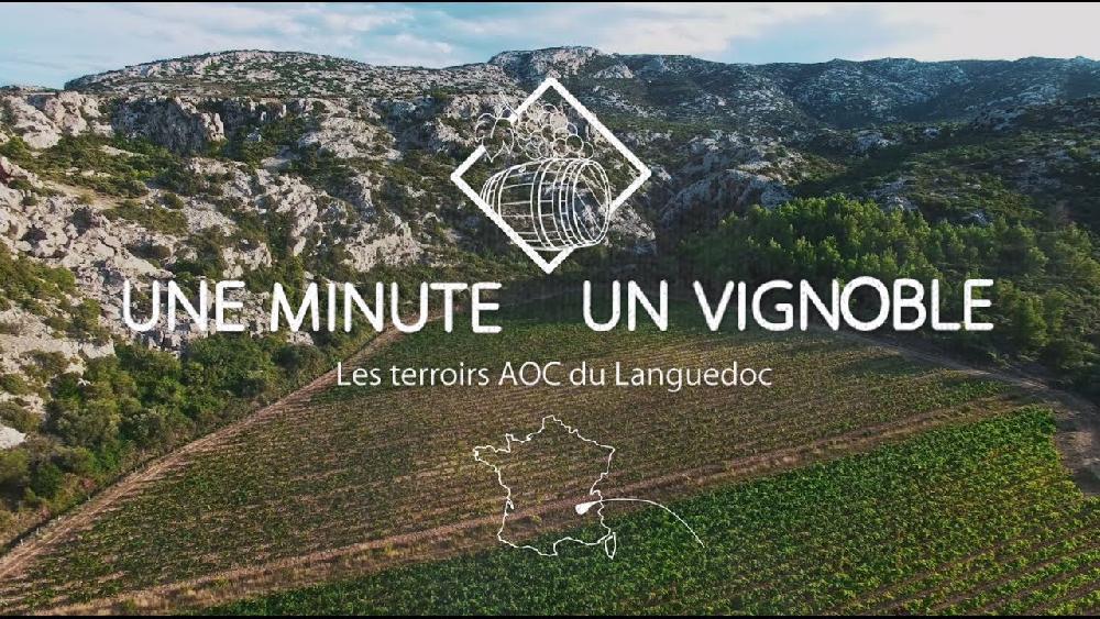 1 Minute 1 Vignoble<br><b>IGP Pays d'Oc entre en scne sur France Tlvision</b>