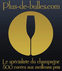 Vente de champagnes<br><b>Nouvelle croissance pour Plus-de-bulles</b>