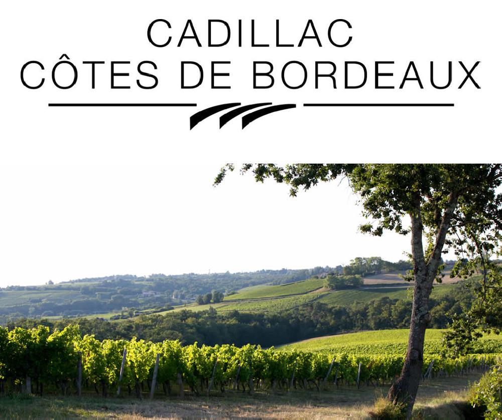 Cadillac Ctes de Bordeaux<br><b>Lnotourisme au cur de sa stratgie</b>