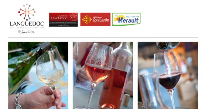 Syndicat de lAOC Languedoc<br><b>Cration d'un salon 100 % Languedoc rserv aux professionnels</b>