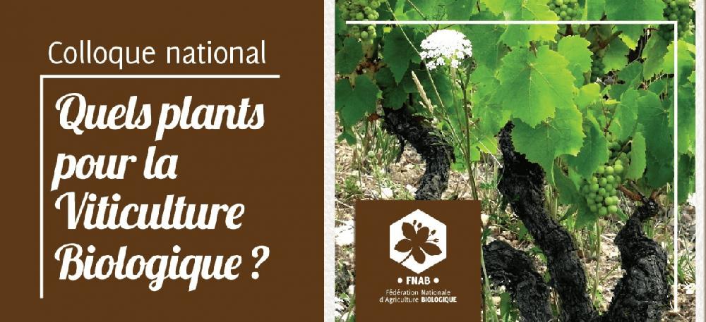 Quels plants pour la viticulture biologique ?<br><b>Colloque National le 9 janvier 2019  Paris</b>