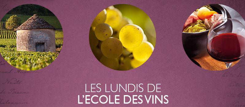 Chablis, Mcon ou Beaune<br><b>5 RDV en 2019 pour se former gratuitement aux vins de Bourgogne...</b>