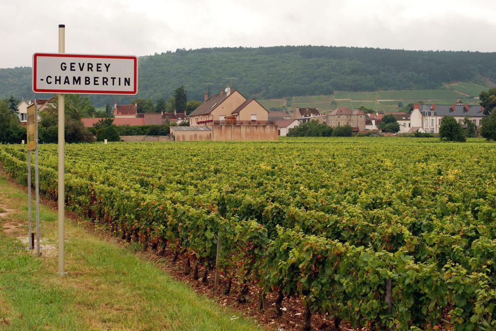 Gevrey-Chambertin<br><b>2020 : organisation de la 76me  dition de la Saint-Vincent Tournante de Bourgogne</b>