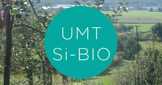Lancement de l'UMT SiBIO<br><b>Unité consacrée aux systèmes horticoles en AB</b>