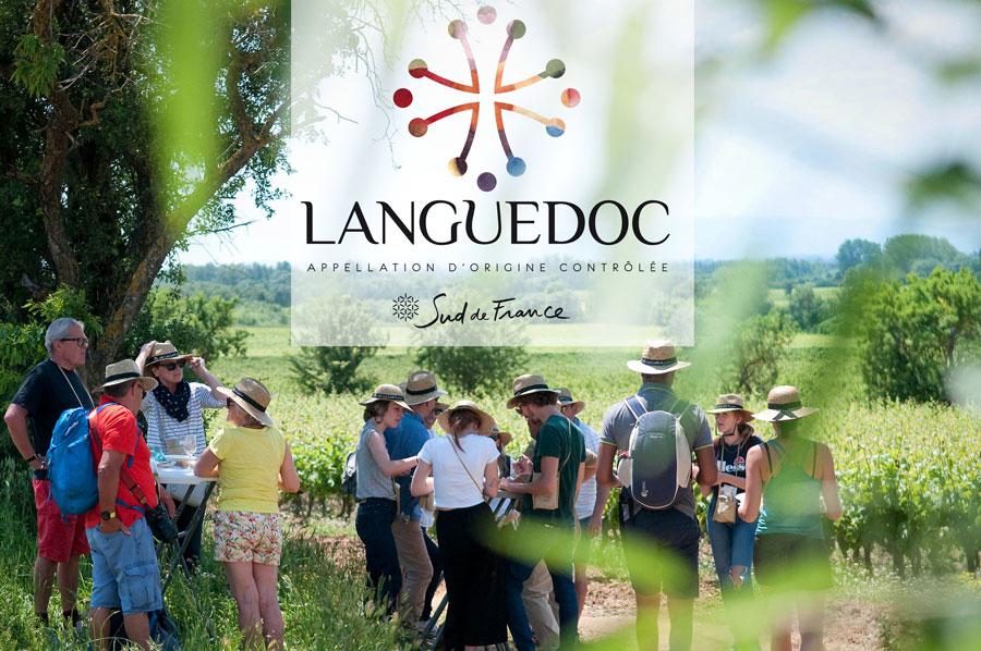 Languedoc, dimanche 19 Mai<br><b>Sentiers Gourmands en Clape Vigneronne</b>