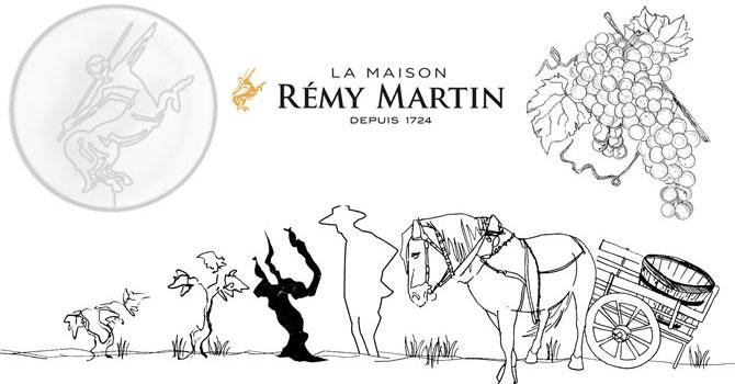 REMY MARTIN<br><b>Centaure de l'environnement</b>