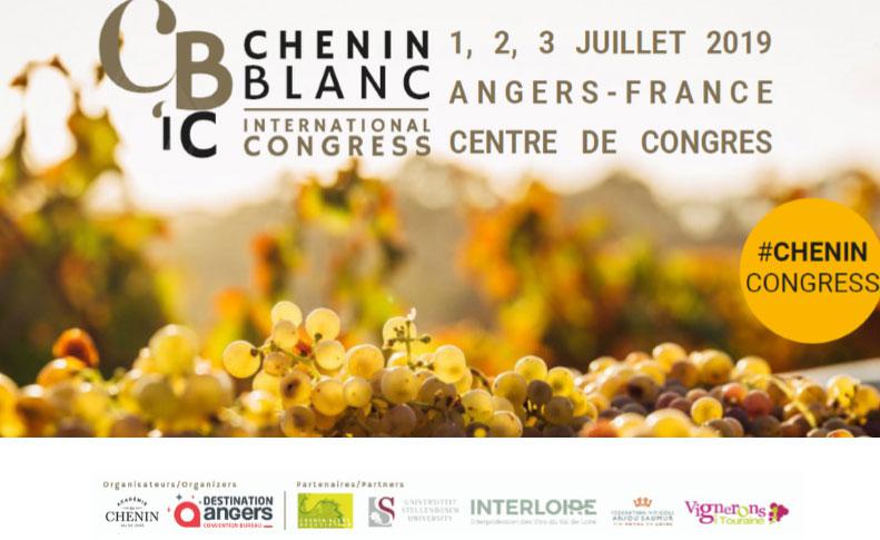 1er Congrs International du Chenin Blanc<br><b> Angers les 1, 2 et 3 juillet 2019</b>