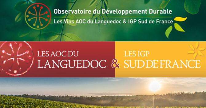 AOC du Languedoc et IGP Sud de France<br><b>L'Observatoire du Développement Durable</b>